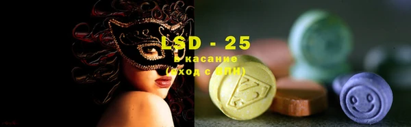 ECSTASY Богородицк