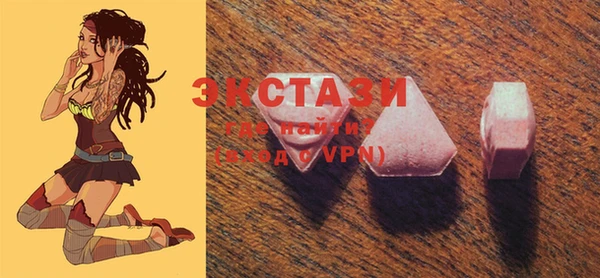 ECSTASY Богородицк