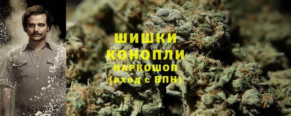 ECSTASY Богородицк
