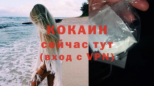 ECSTASY Богородицк