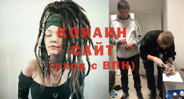 ECSTASY Богородицк