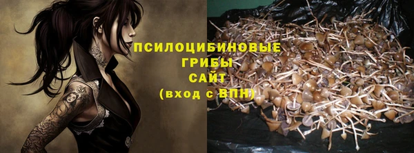 каннабис Богданович