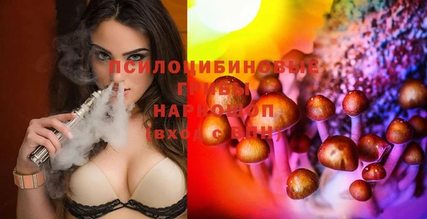 ECSTASY Богородицк